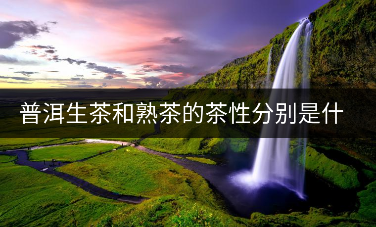 普洱生茶和熟茶的茶性分別是什么？涼性還是熱性？