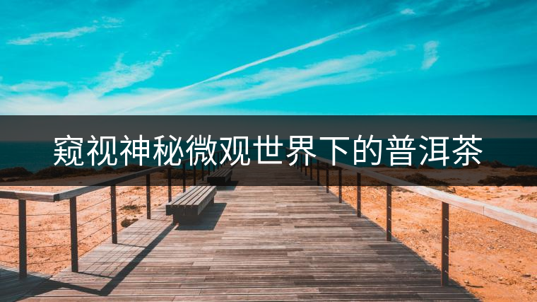 窺視神秘微觀世界下的普洱茶 窺視神秘微觀世界下的普洱茶