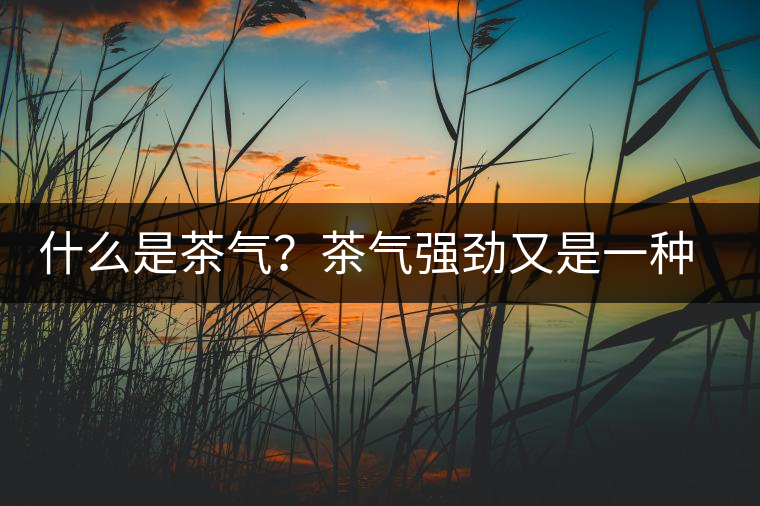 什么是茶氣？茶氣強勁又是一種怎樣的體驗？