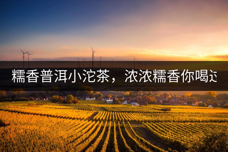 糯香普洱小沱茶，濃濃糯香你喝過嗎？