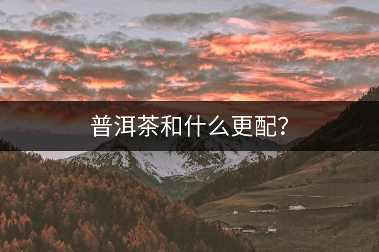 普洱茶和什么更配？