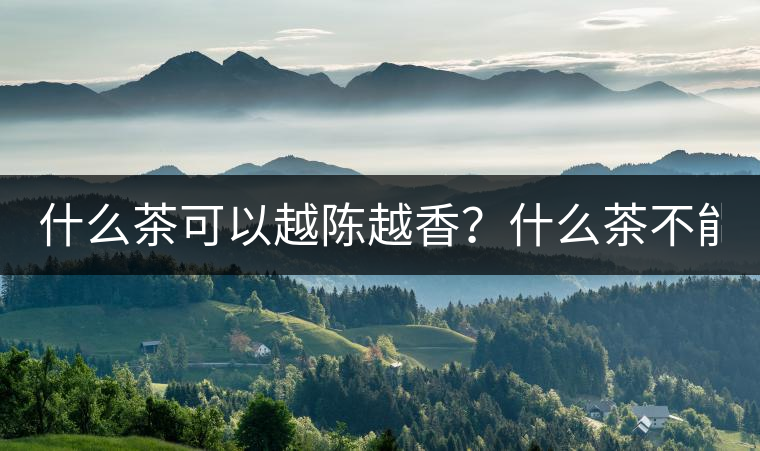 什么茶可以越陳越香？什么茶不能？