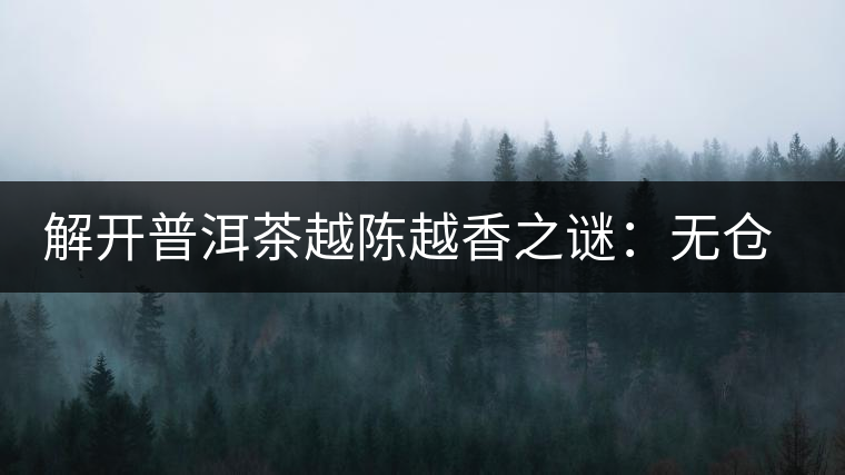 解開普洱茶越陳越香之謎：無倉不成普洱