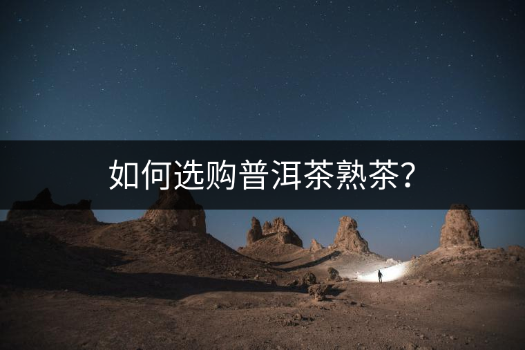 如何選購普洱茶熟茶？