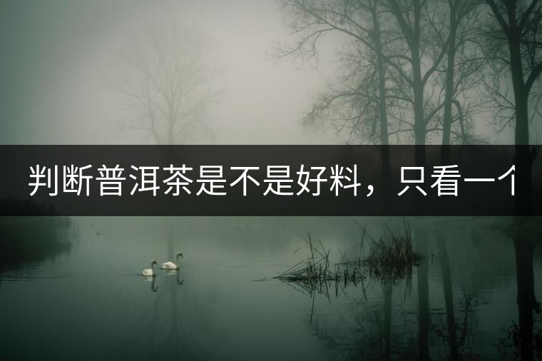 判斷普洱茶是不是好料，只看一個地方！