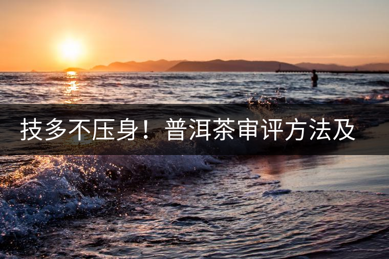 技多不壓身！普洱茶審評(píng)方法及專業(yè)術(shù)語大全（下）