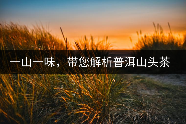 一山一味，帶您解析普洱山頭茶的密碼究竟是什么？