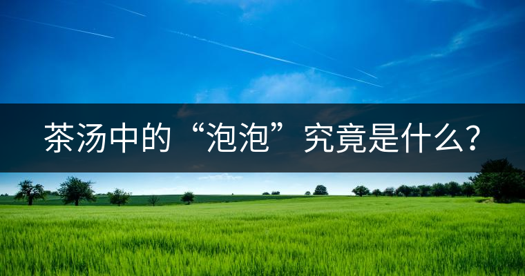 茶湯中的“泡泡”究竟是什么？
