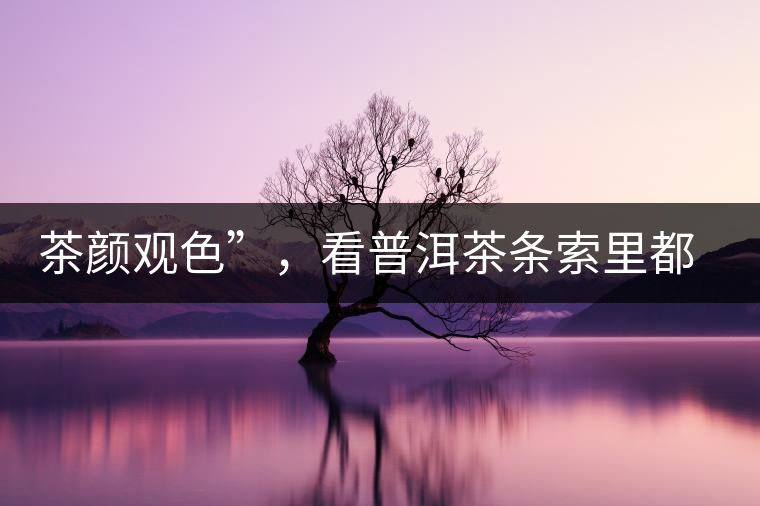茶顏觀色”，看普洱茶條索里都蘊(yùn)含著怎樣的“密碼”？