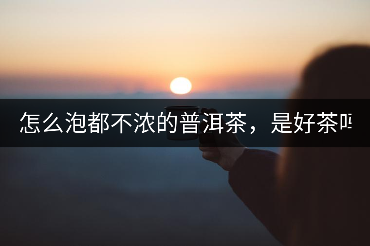 怎么泡都不濃的普洱茶，是好茶嗎？