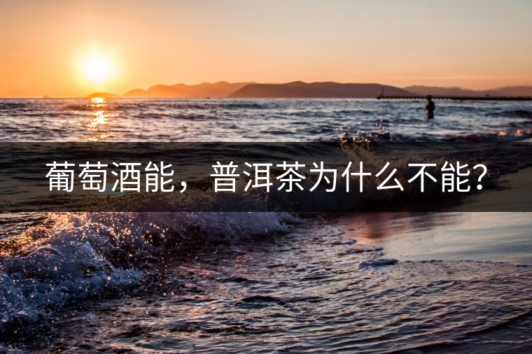 葡萄酒能，普洱茶為什么不能？