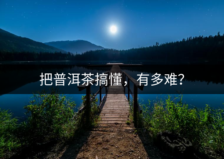 把普洱茶搞懂，有多難？