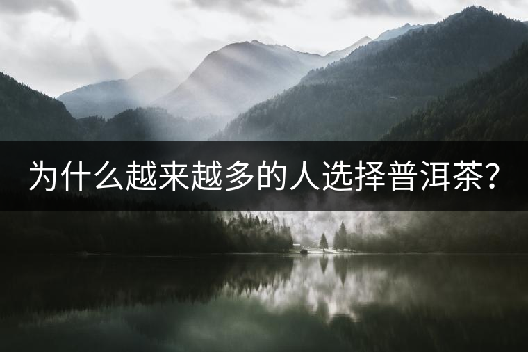 為什么越來越多的人選擇普洱茶？