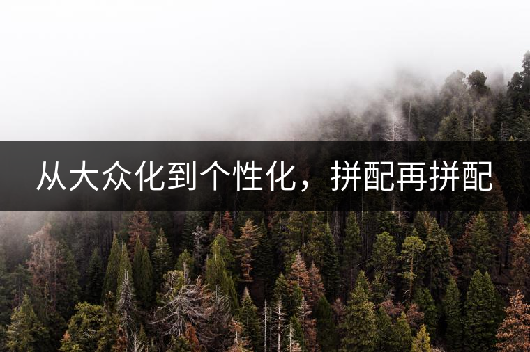 從大眾化到個(gè)性化，拼配再拼配