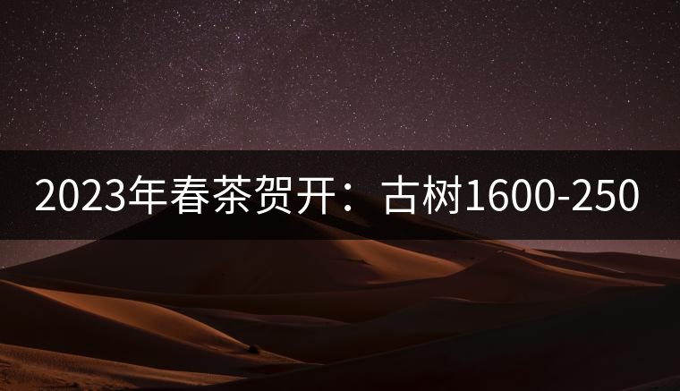 2023年春茶賀開(kāi):古樹(shù)1600-2500元 2023年春茶賀開(kāi):古樹(shù)1600-2500元