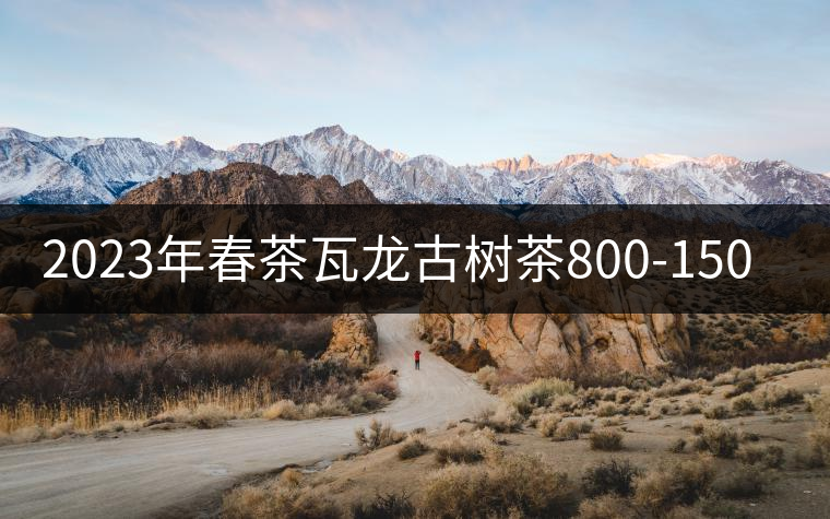 2023年春茶瓦龍古樹茶800-1500元/公斤 2023年春茶瓦龍古樹茶800-1500元/公斤