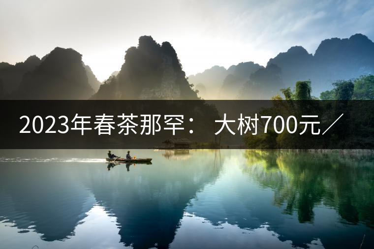2023年春茶那罕： 大樹(shù)700元／公斤，古樹(shù)：1200-1600元／公斤