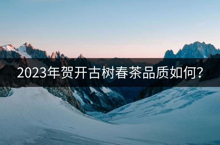 2023年賀開(kāi)古樹(shù)春茶品質(zhì)如何？