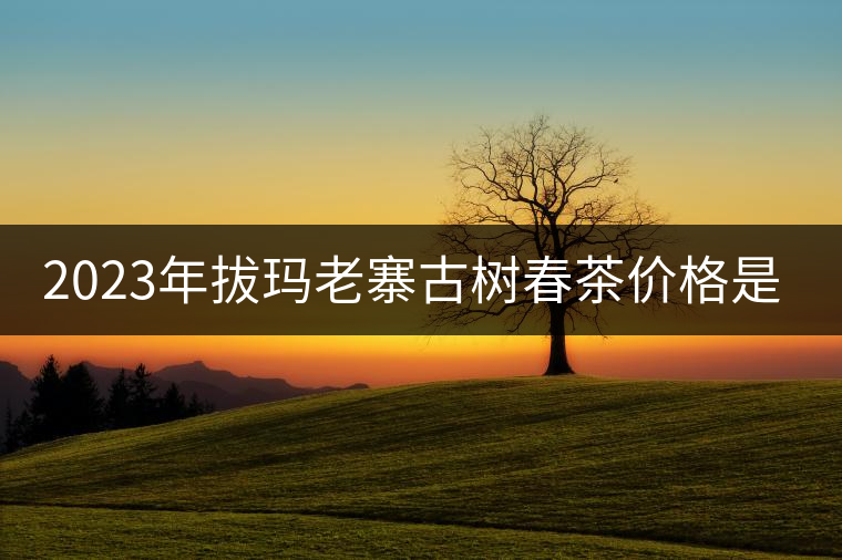 2023年拔瑪老寨古樹春茶價(jià)格是多少？