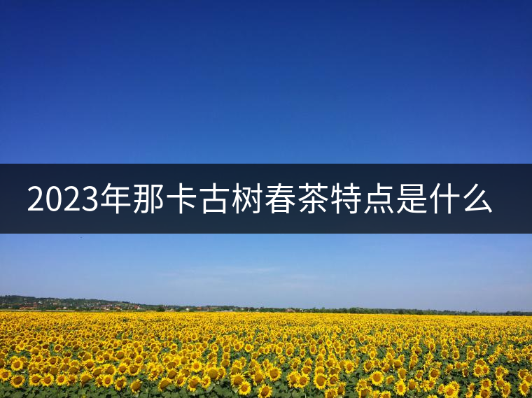 2023年那卡古樹春茶特點是什么？
