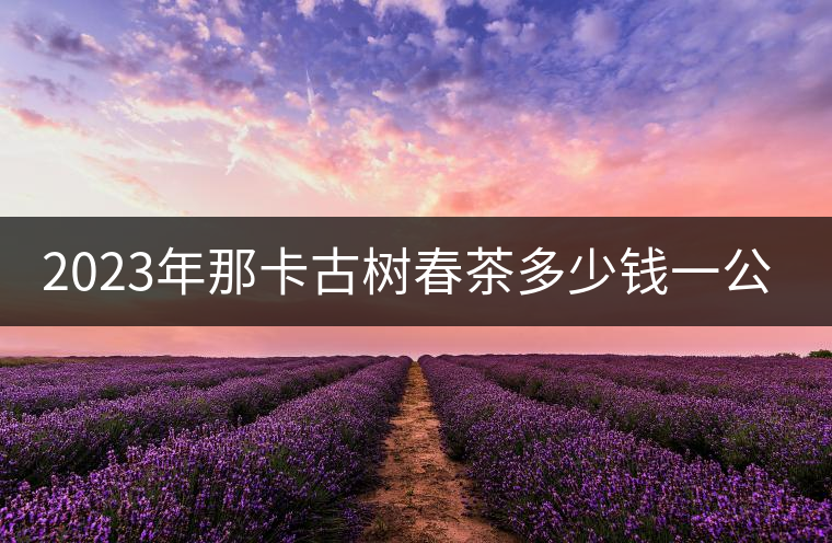 2023年那卡古樹春茶多少錢一公斤？