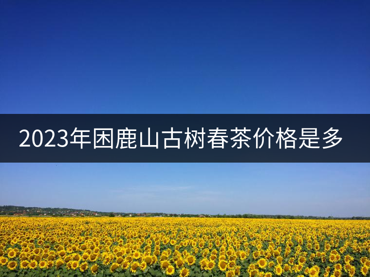 2023年困鹿山古樹春茶價格是多少？