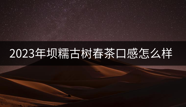 2023年壩糯古樹春茶口感怎么樣? 2023年壩糯古樹春茶口感怎么樣?