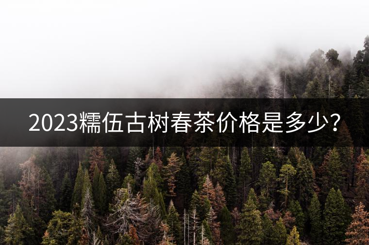 2023糯伍古樹(shù)春茶價(jià)格是多少？