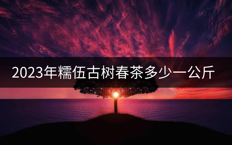 2023年糯伍古樹春茶多少一公斤？