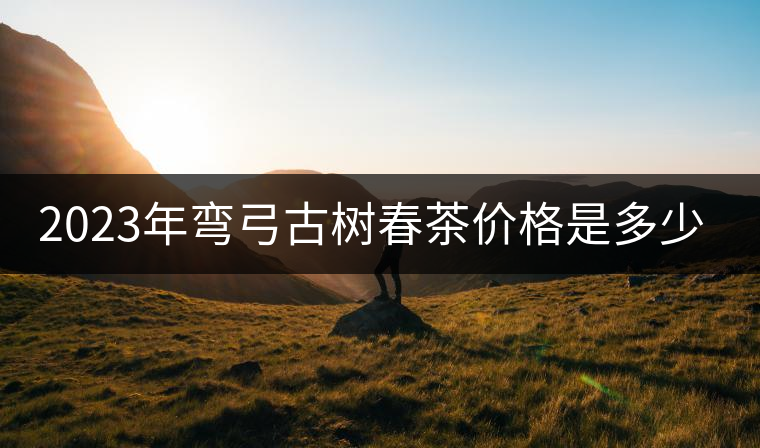 2023年彎弓古樹春茶價(jià)格是多少？