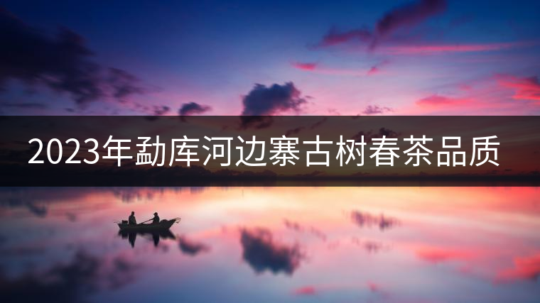 2023年勐庫河邊寨古樹春茶品質如何? 2023年勐庫河邊寨古樹春茶品質如何?