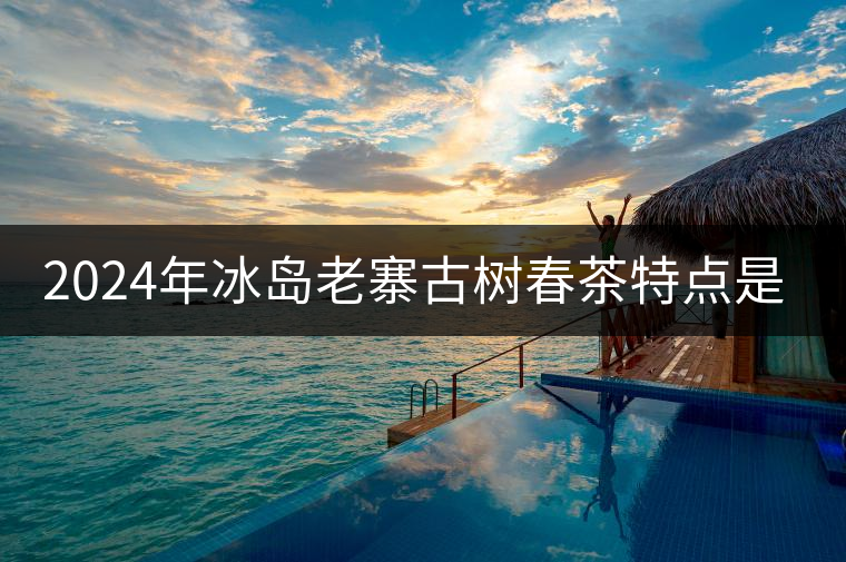 2024年冰島老寨古樹春茶特點(diǎn)是什么? 2024年冰島老寨古樹春茶特點(diǎn)是什么?