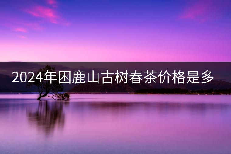 2024年困鹿山古樹(shù)春茶價(jià)格是多少？