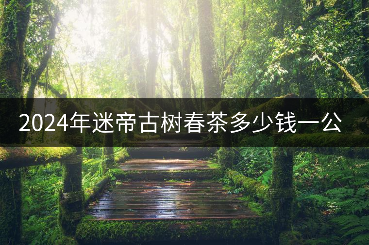 2024年迷帝古樹春茶多少錢一公斤？