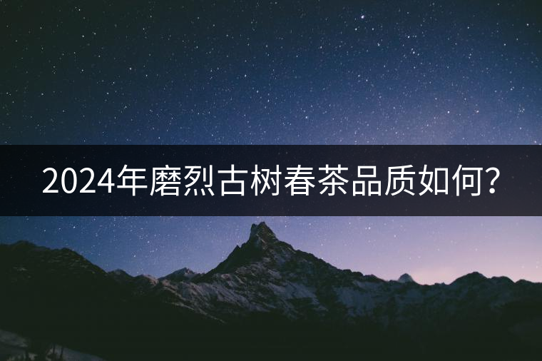 2024年磨烈古樹(shù)春茶品質(zhì)如何？