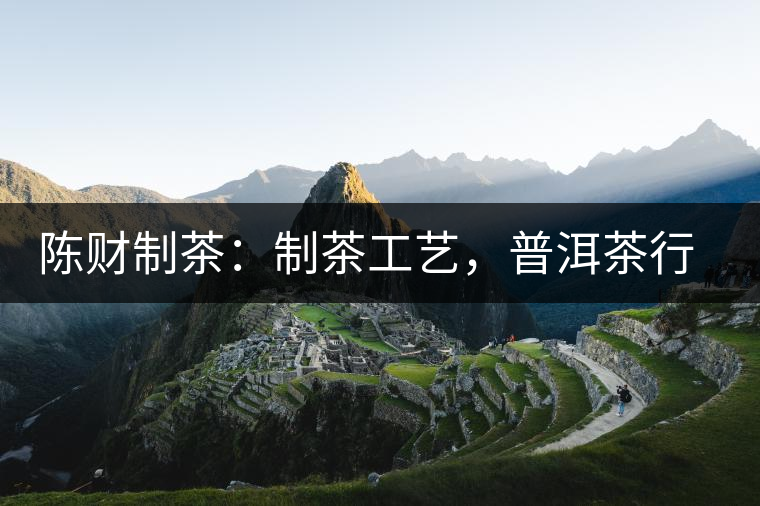 陳財制茶：制茶工藝，普洱茶行業(yè)的生死線