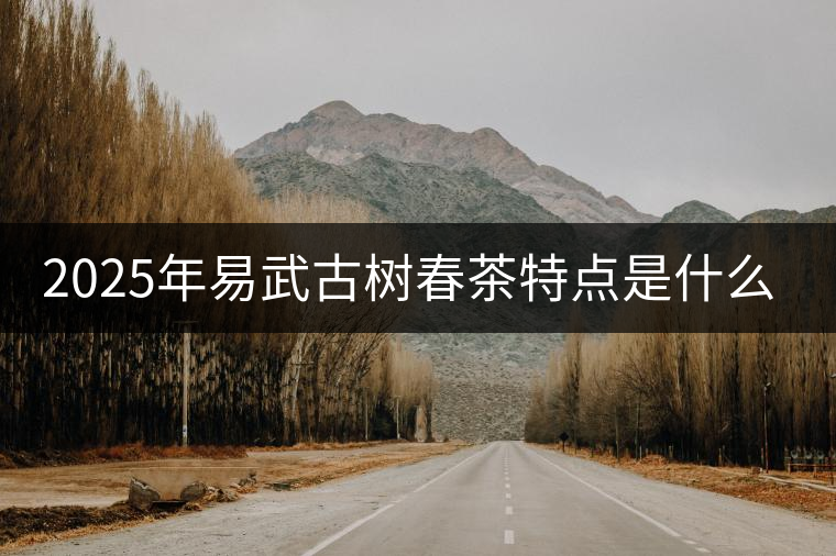 2025年易武古樹春茶特點是什么？