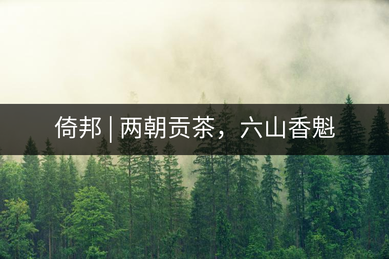 倚邦 | 兩朝貢茶，六山香魁