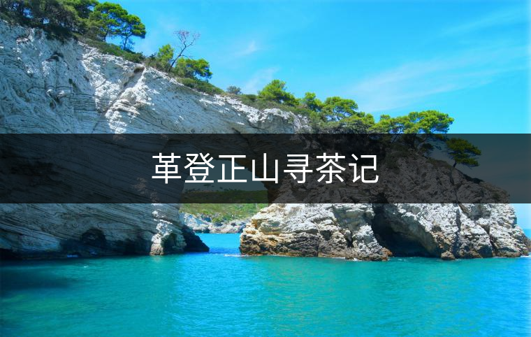 革登正山尋茶記 革登正山尋茶記