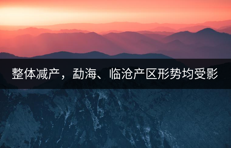 整體減產(chǎn)，勐海、臨滄產(chǎn)區(qū)形勢(shì)均受影響