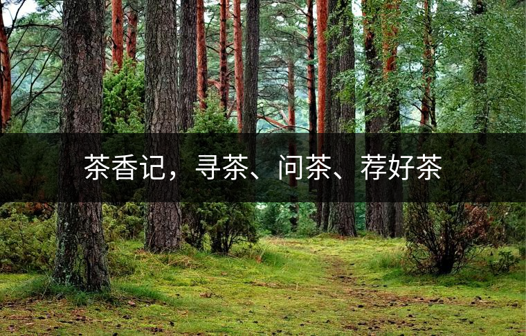 茶香記，尋茶、問茶、薦好茶