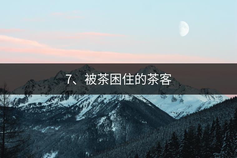 7、被茶困住的茶客