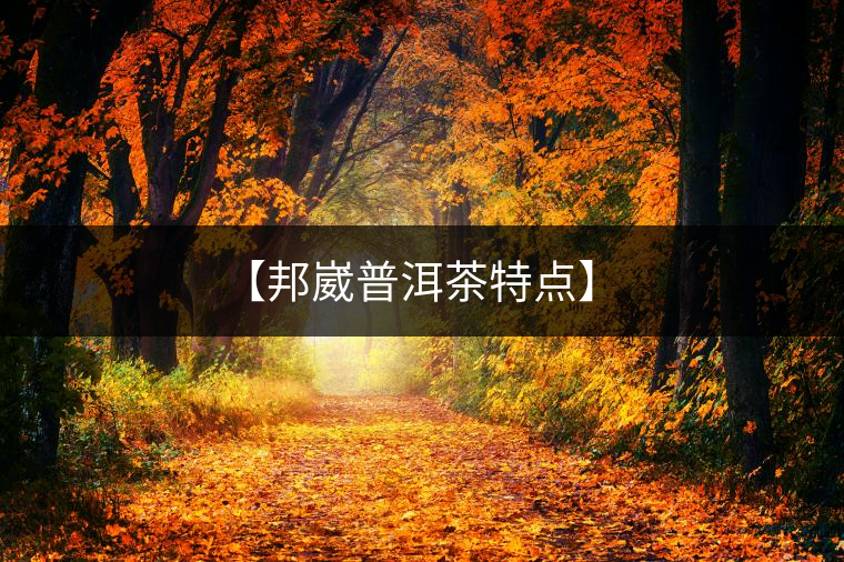 【邦崴普洱茶特點】