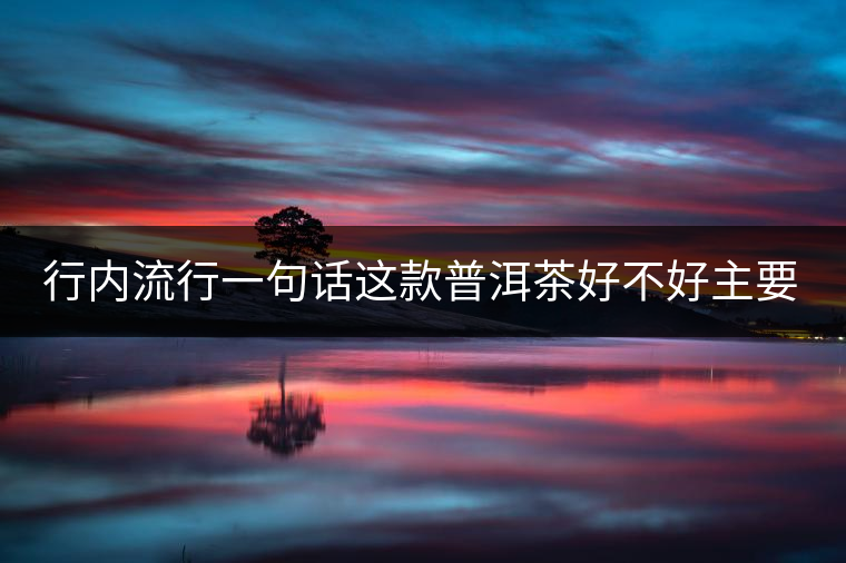 行內(nèi)流行一句話這款普洱茶好不好主要還看尾水，雖然比較片面但是也有一定道理。