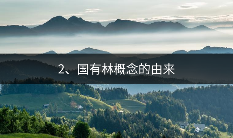2、國(guó)有林概念的由來(lái)