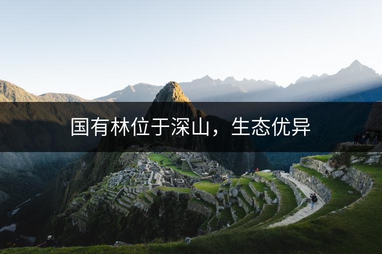 國有林位于深山，生態(tài)優(yōu)異