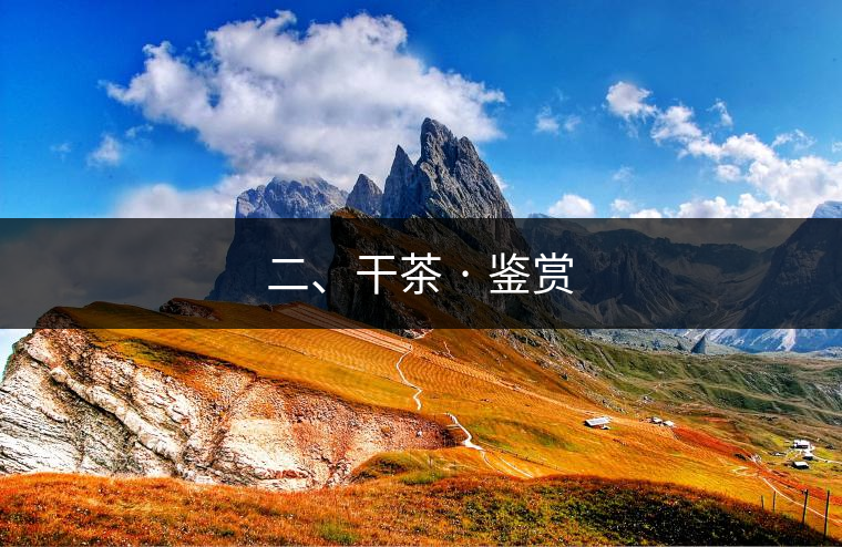 二、干茶 · 鑒賞