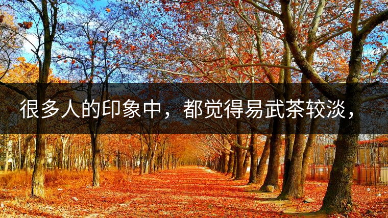 很多人的印象中，都覺得易武茶較淡，但存放幾年后，再喝又覺得茶味茶氣變濃了。我們就這個(gè)問題，考察了易武古茶山，和走訪了當(dāng)?shù)夭柁r(nóng)。我們發(fā)現(xiàn)這跟易武古樹茶的茶質(zhì)和茶農(nóng)制茶的傳統(tǒng)工藝有關(guān)。