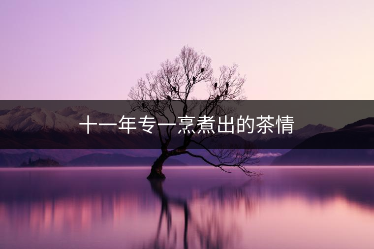 十一年專一烹煮出的茶情 十一年專一烹煮出的茶情