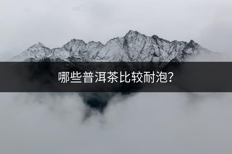 哪些普洱茶比較耐泡？